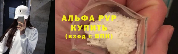 СК Алексин